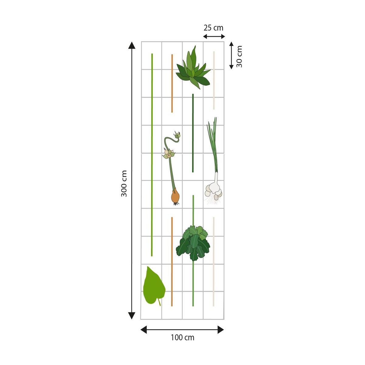 Permacultuur ontwerp voor een moestuinbed, gemaakt door Sol Solide Permacultuur
