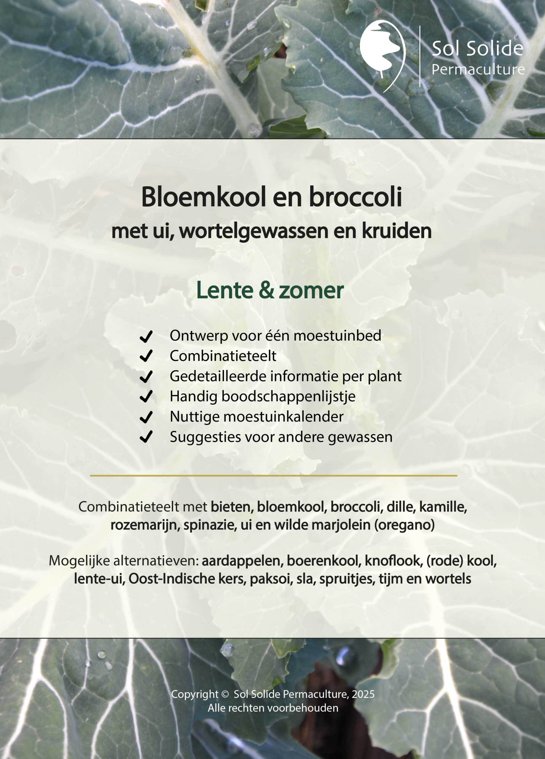 Bloemkool en broccoli - lente & zomer - moestuinbedontwerp - Afbeelding 2